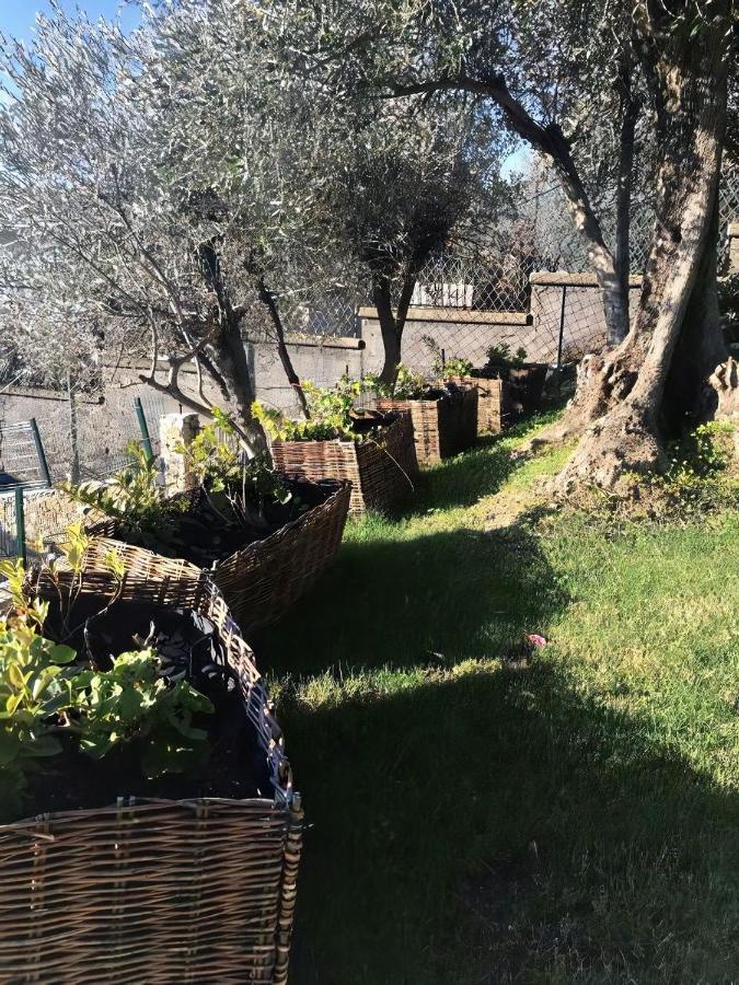 Apartment Le Pale 2 Swimming Pool And Parking Bogliasco